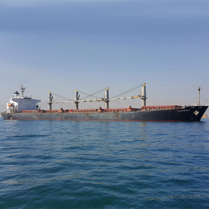 Bulk Freedom 52,454 DWT