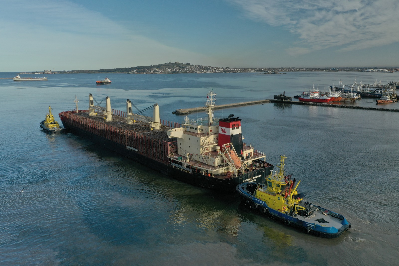 Strategic Savannah  35.542DWT • Handymax Built 2014 Taizhou Maple Leaf